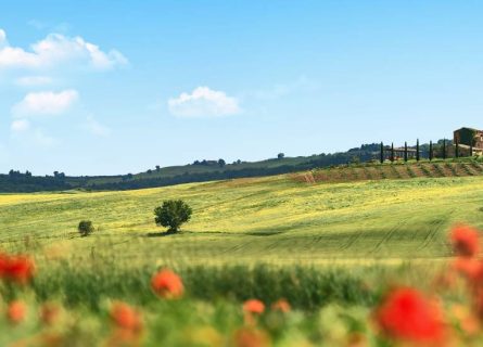 tuscany wine regions