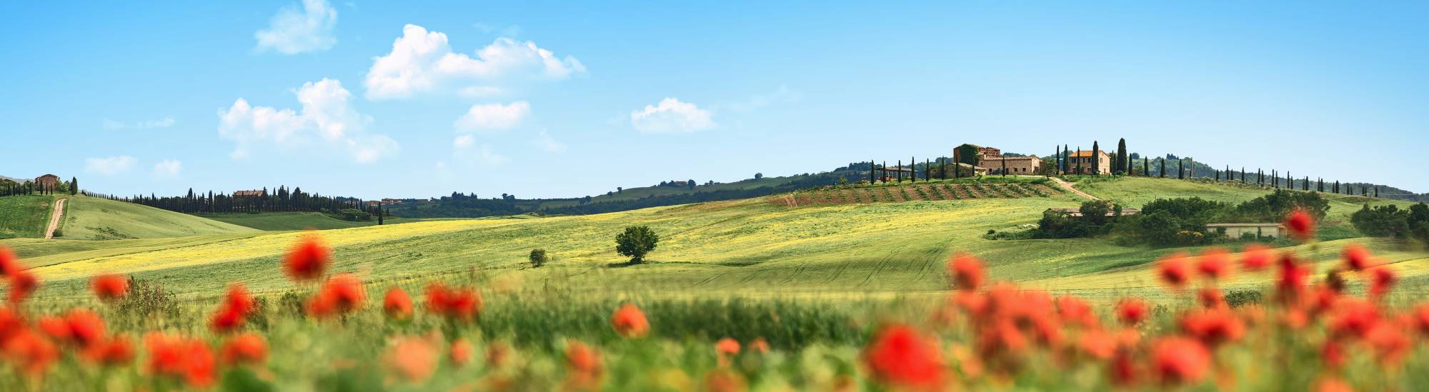 Cantine Aperte in Tuscany: Wine Cellars \u0026 Wine Tastings in Tuscany, image size:2000x549