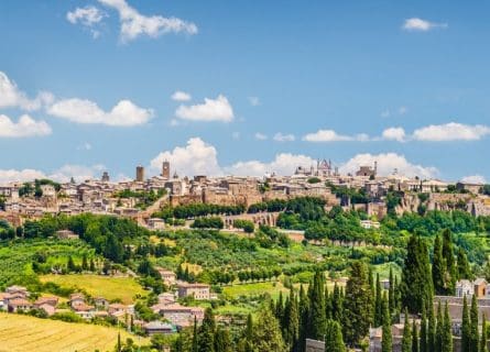 Umbria Wine Tour