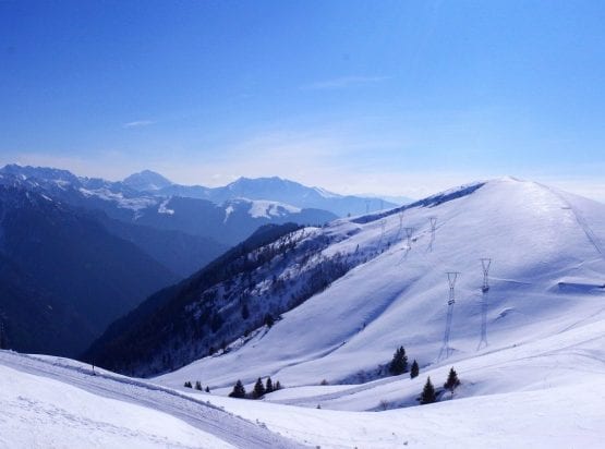 Valtellina Wine Tours