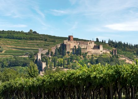 Scala Castle in the Soave region