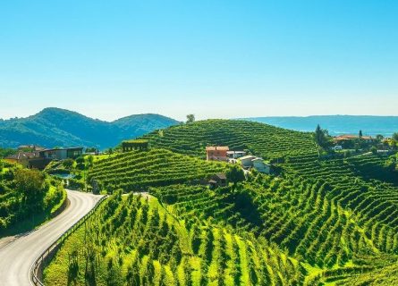 veneto - veneto-wine-regions