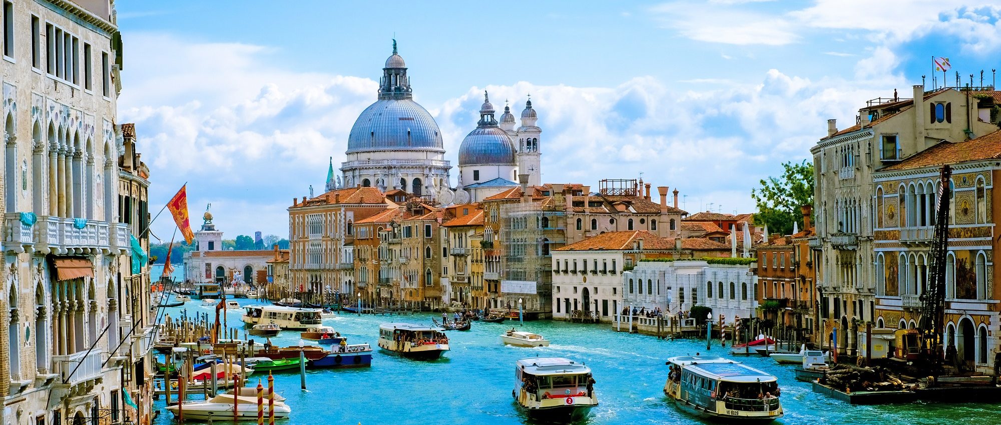 Venice Food & Wine Tours » Her gourmet secrets will tantalize you