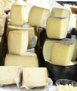 Pecorino cheese Pecorino cheese