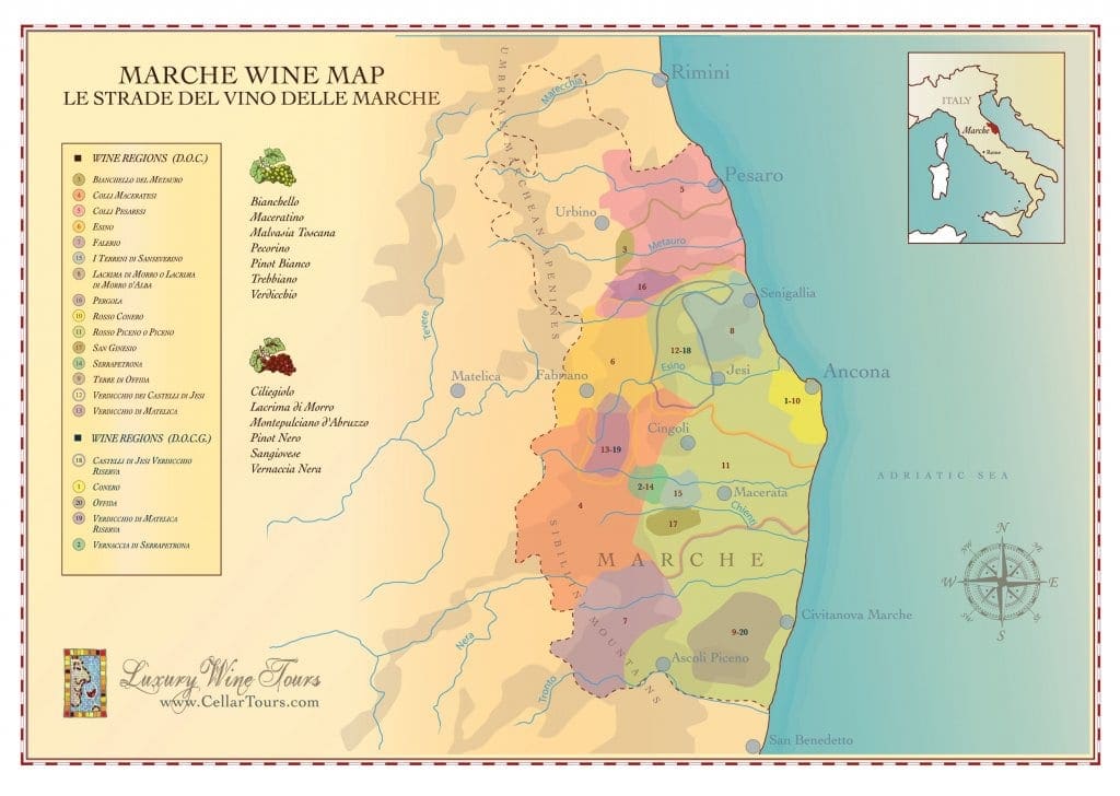 Marche Wine Region Map