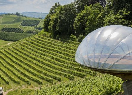ceretto winery