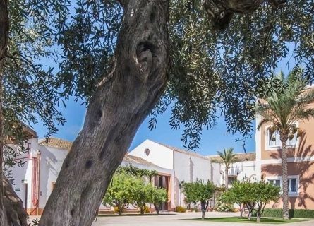 donnafugata winery