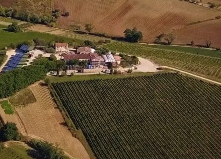moroder winery