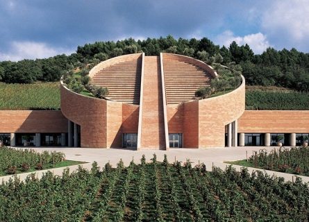 petra winery