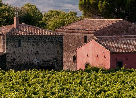 planeta winery
