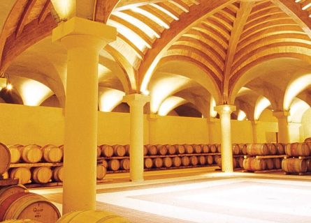 san fabiano calcinaia