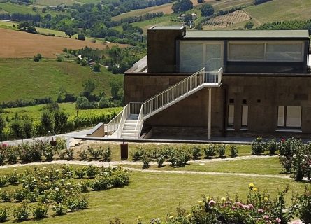 sartarelli winery
