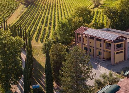 tenuta valdipiatta winery