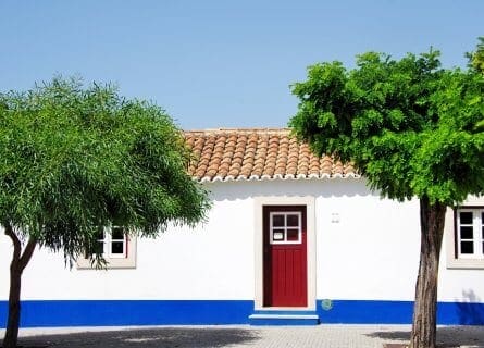 Traditional House