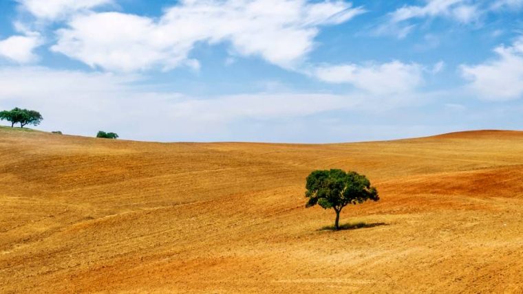 alentejo wine tour