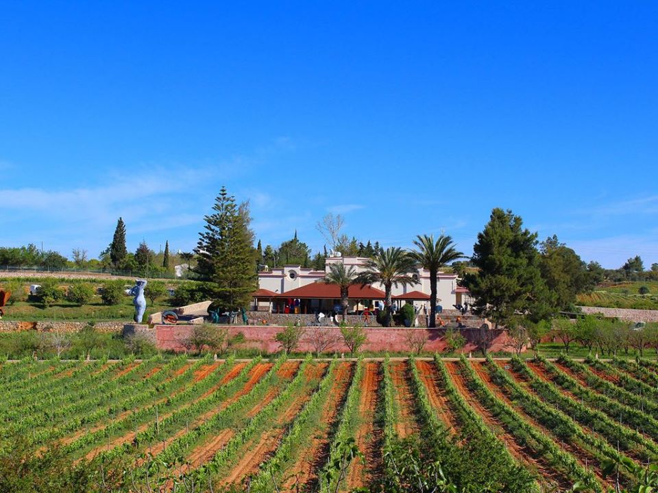 Quinta dos Vales