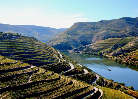 douro - douro valley wine tour