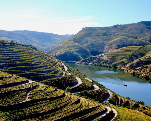 Private Wine Tour in the Douro Valley