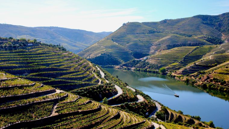 douro - douro valley wine tour