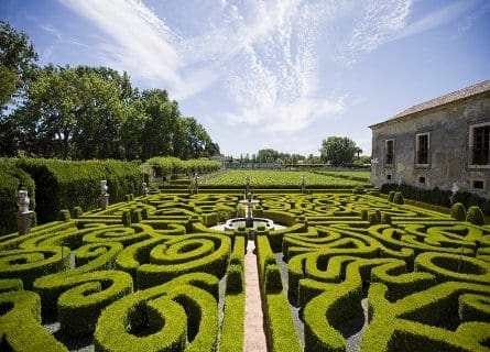 Beautiful gardens of Quinta da Bacalhôa