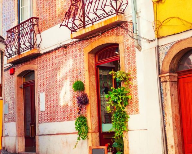 Private Food & Wine Tour in Lisbon