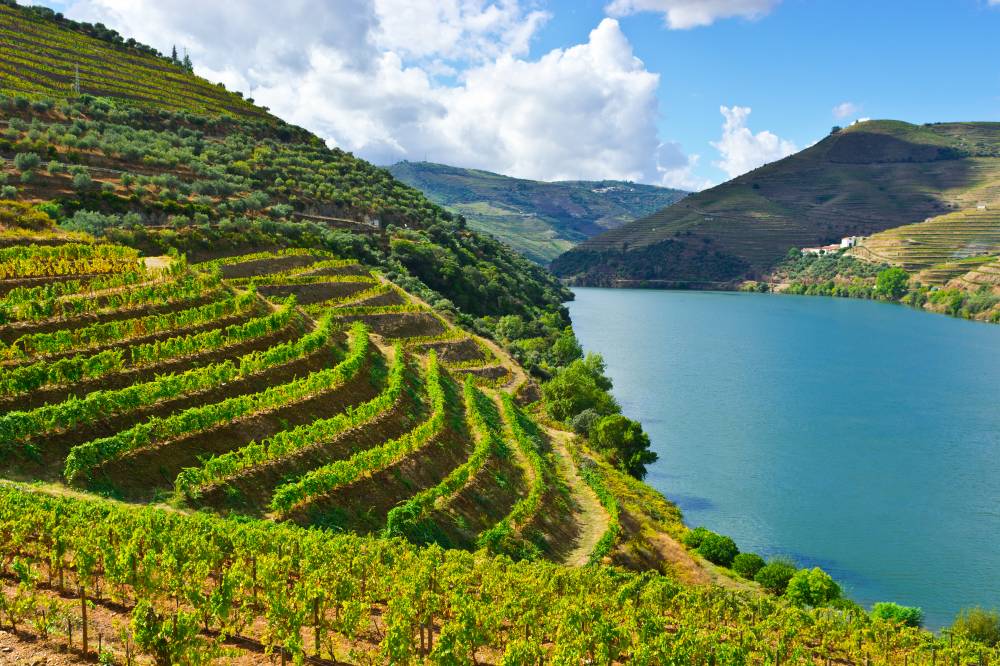 Douro Valley vineyards