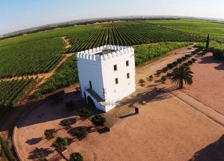 Esporao winery, Alentejo