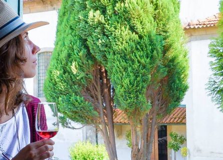 odyssey - portuguese odyssey wine tours