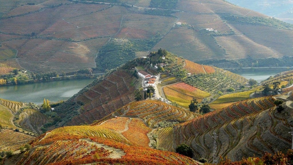 The stunning Quinta do Crasto, Douro Valley