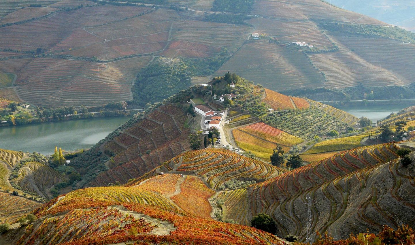 The stunning Quinta do Crasto, Douro Valley