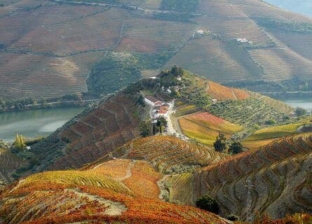 The stunning Quinta do Crasto, Douro Valley