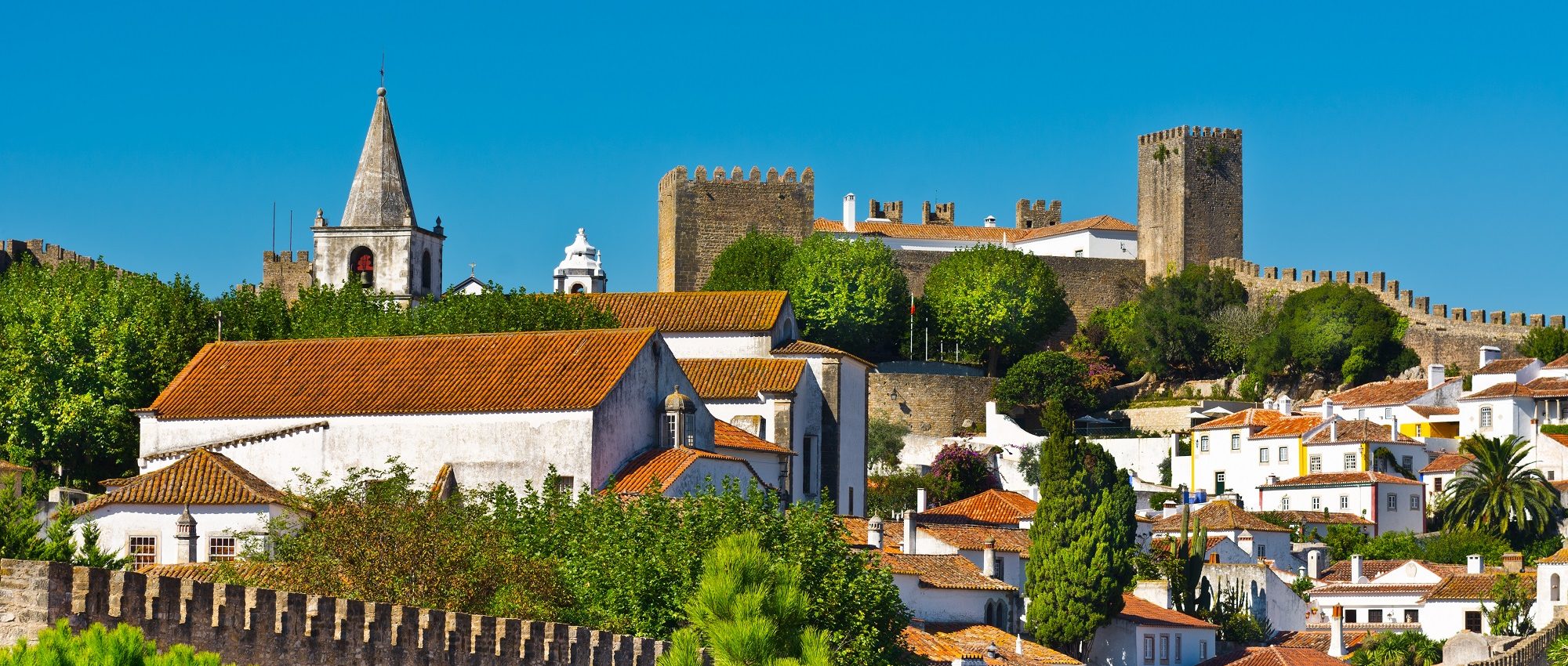 Portugal City Travel Guides » Wine and Gastronomy ...
