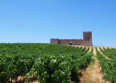 alentejo-wine-region