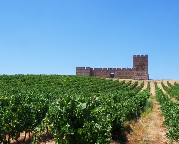 Alentejo Wine Region Guide
