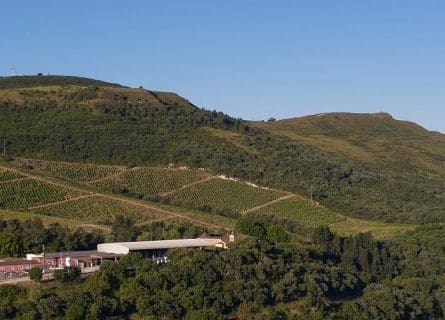 wine-regions - bucelas wine region