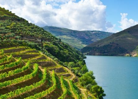 douro-valley-wine-region