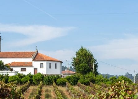 minho wine region