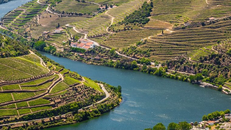 wine-regions - portuguese wine regions