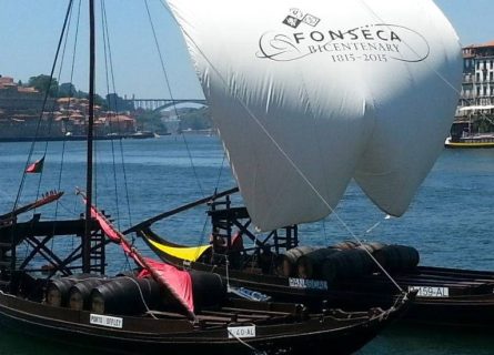 fonseca guimaraens