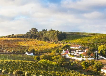 quinta de chocapalha