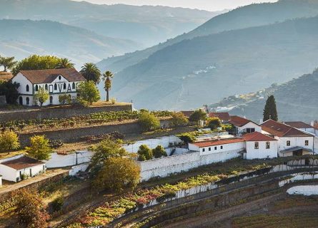 quinta do noval