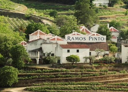 ramos pinto