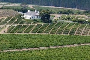 Hemel-en-Aarde Wine Region Hemel-en-Aarde Wine Region