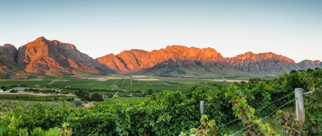 south-africa - south africa wine tour 2023