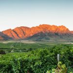 Chile Wine Tour