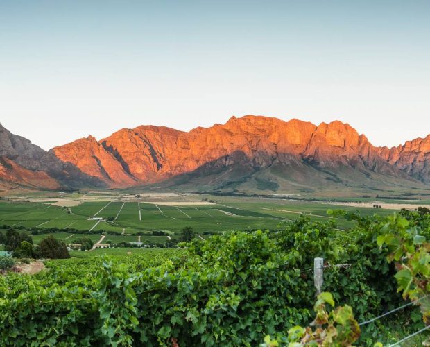 Private Wine Tours in South Africa