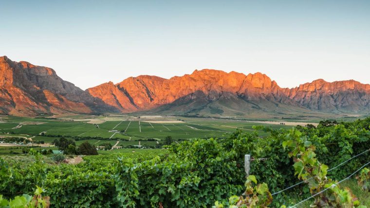 south-africa - south africa wine tour 2023