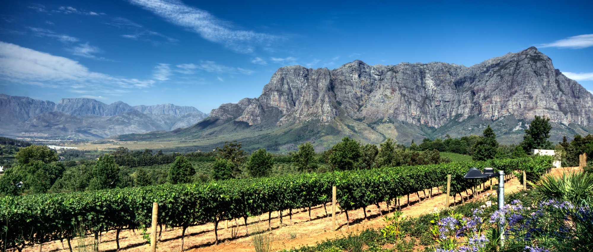 Best Winery Tours In Spain Best Winery Tours In Spain