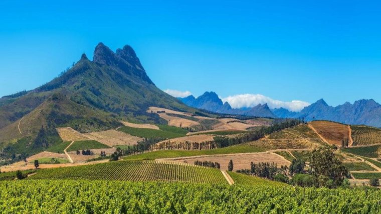 wine-regions - south africa wine regions
