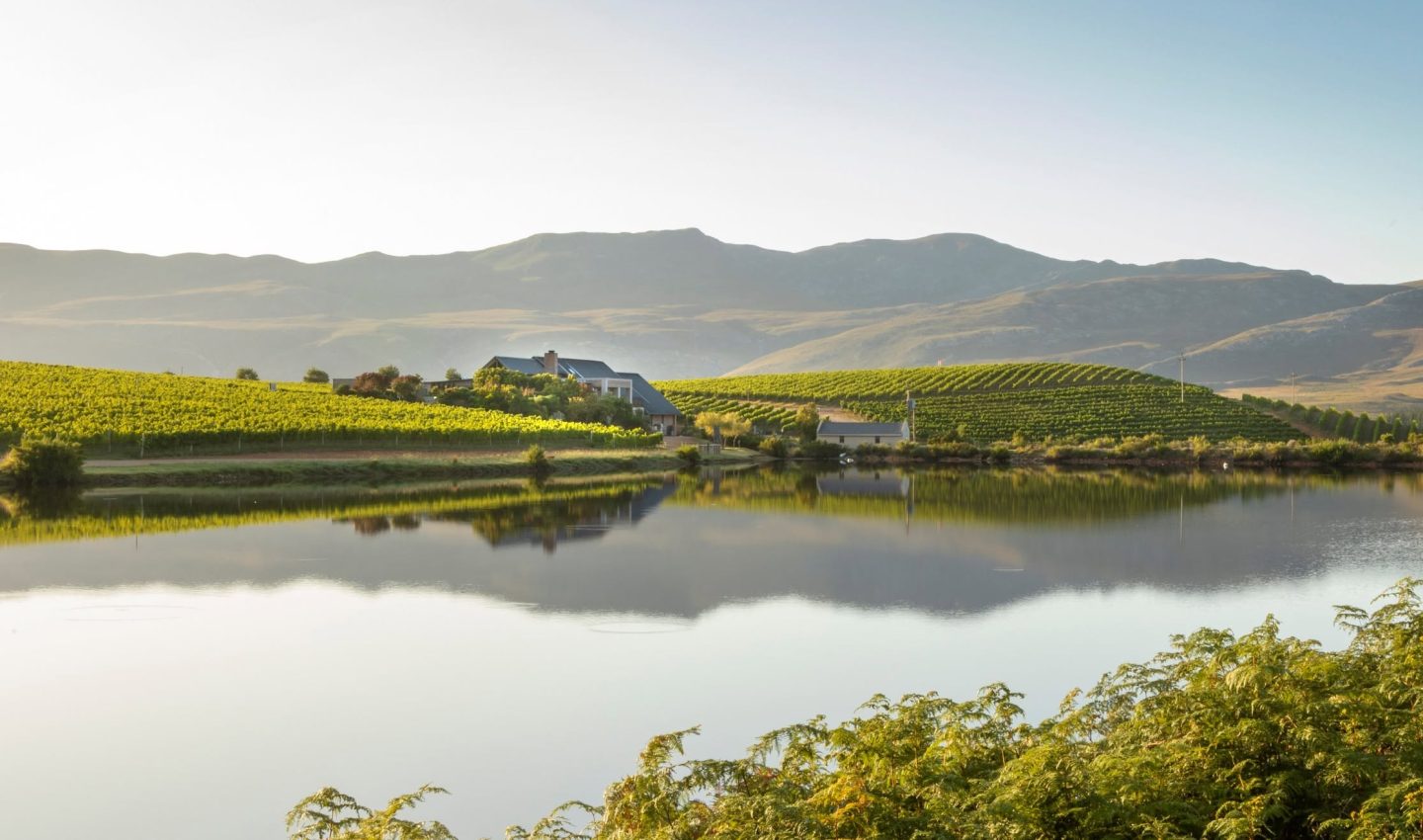 Creation winery